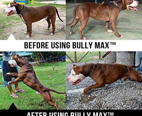 Bully Max Muscle Supplements For Dogs