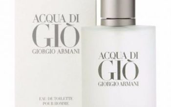 Giorgio Armani Acqua Di Gio For Men 100ml EDT