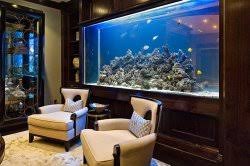 Large Aquariums Fish tank for living rooms and outdoor