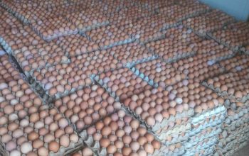 PRICE & LIST FOR FRESH EGGS WE DELIVER0 CRATES ABOVE PAY ON DELIVERY FOR THOS