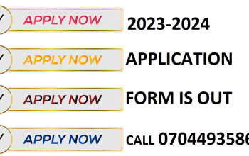 (2023/2024) American University of Nigeria yola (Transfer/Direct Entry) Form